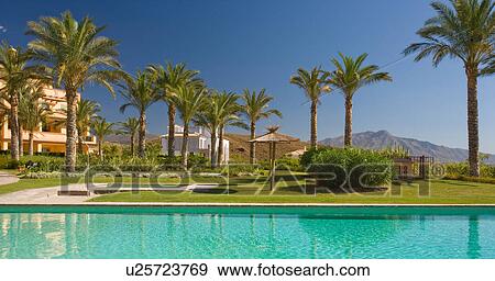 Rectangular turquoise swimmingpool and palm trees in front of apartment building in southern Spain View Large Photo Image Stock Photo - Rectangular turquoise swimmingpool and palm trees in front of apartment building in southern Spain. Fotosearch