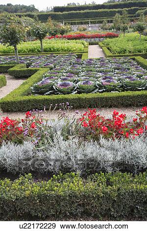 Stock Photo - red, beds, formal, gardens. Fotosearch