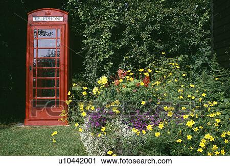 Red telephone box beside colourful perennials in flowering border in country garden View Large Photo Image Stock Image - Red telephone box beside colourful perennials in flowering border in country garden. Fotosearch