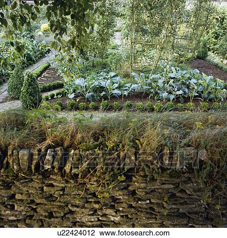 Stock Image - Rough stone wall in country potager garden. Fotosearch