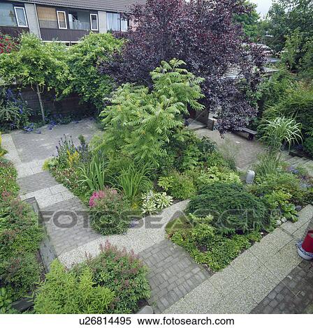Stock Photography - Shrubs and trees in paved low-maintence town garden in summer. Fotosearch