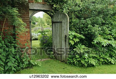 Shrubs beside open wooden door in walled garden View Large Photo Image Stock Image - Shrubs beside open wooden door in walled garden. Fotosearch
