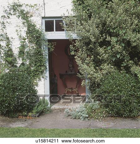 Shurbs on either side of open door to country cottage View Large Photo Image Stock Image - Shurbs on either side of open door to country cottage. Fotosearch