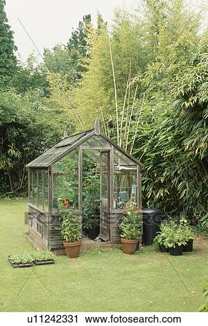 Small Glass Greenhouse On Lawn Of Country Garden Stock Image U Fotosearch