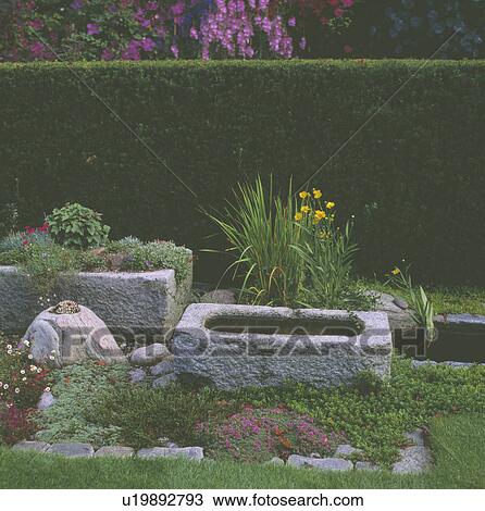 Stock Image - Small raised pond in country garden. Fotosearch