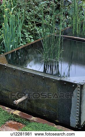 Small water feature in old metal tank in country garden View Large Photo Image Stock Image - Small water feature in old metal tank in country garden. Fotosearch