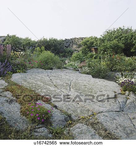 Stock Photography - Smooth rock in walled coastal garden. Fotosearch