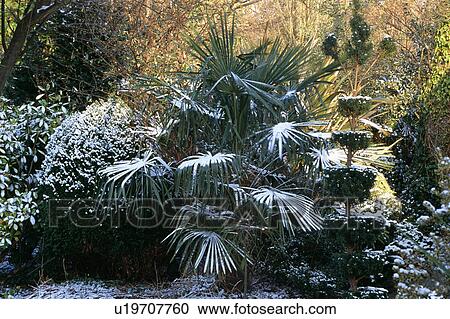 Stock Image - Snow in country garden in winter. Fotosearch