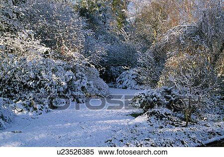 Stock Photography - Snow in country garden in winter. Fotosearch