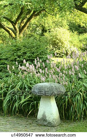 Staddlestone in country garden View Large Photo Image Stock Photo - Staddlestone in country garden. Fotosearch
