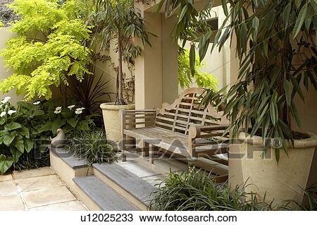 Stock Image - Steps up to wooden Sissinghurst bench in front of mirror in courtyard with eucalyptus trees in large pots and acacia in the corner of the patio . Fotosearch