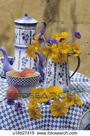 Still-Life of blue+white coffeepotrs and yellow flowers on checked cloth View Large Photo Image Stock Photo - Still-Life of blue+white coffeepotrs and yellow flowers on checked cloth. Fotosearch