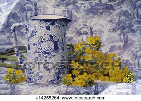 Picture - Still-Life of blue+white jugs and daffodils. Fotosearch