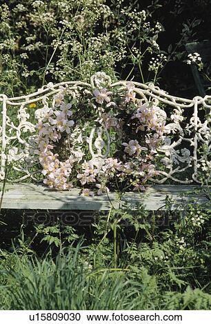 Stock Image - Still-Life of clematis wreath on bench. Fotosearch