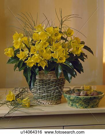 Stock Photograph - Still-Life of daffodils. Fotosearch