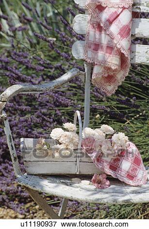 Still-Life of flowers and pink checked fabric View Large Photo Image Stock Photo - Still-Life of flowers and pink checked fabric. Fotosearch