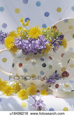 Still-Life of flowers in spotted teapot View Large Photo Image Stock Photograph - Still-Life of flowers in spotted teapot. Fotosearch