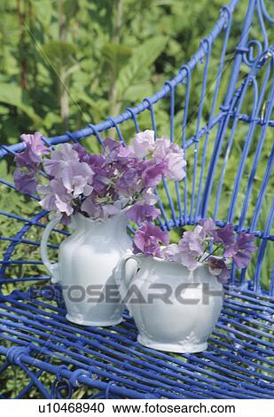 Stock Image - Still-Life of mauve sweetpeas. Fotosearch