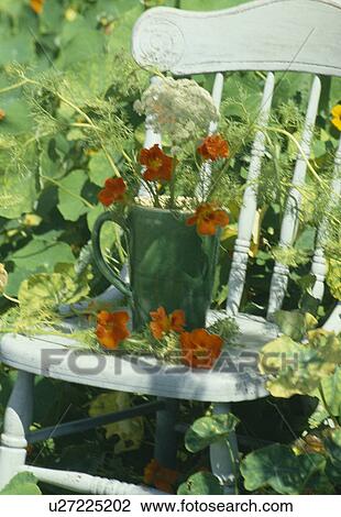 Stock Image - Still-Life of nasturtiums in green jug on chair. Fotosearch