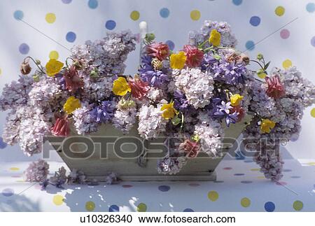 Stock Image - Still-Life of pastel summer flowers in wooden trug. Fotosearch