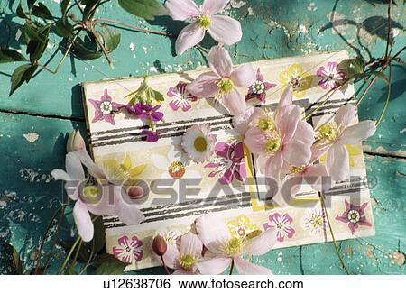 Stock Photograph - Still-life of pink clematis flowers on painted box. Fotosearch