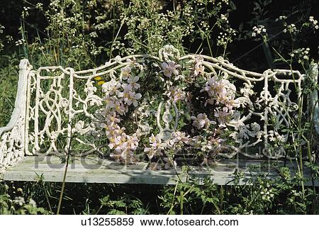 Stock Photo - Still-Life of pink clematis wreath on bench. Fotosearch