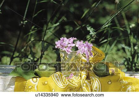Stock Image - Still-life of pink flowers and yellow fabric. Fotosearch