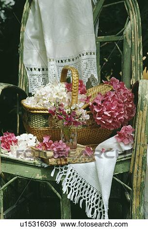 Still-Life of pink hydrangeas View Large Photo Image Stock Photo - Still-Life of pink hydrangeas. Fotosearch