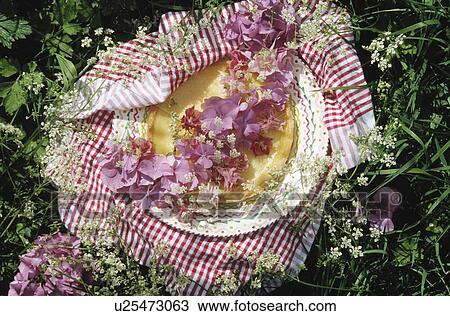 Still-life of pink petals and checked fabric View Large Photo Image Stock Image - Still-life of pink petals and checked fabric. Fotosearch