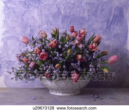 Still-life of pink roses and forget-me-nots in floral arrangement View Large Photo Image Stock Photo - Still-life of pink roses and forget-me-nots in floral arrangement. Fotosearch