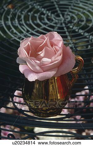 Still-Life of pink roses View Large Photo Image Picture - Still-Life of pink roses. Fotosearch