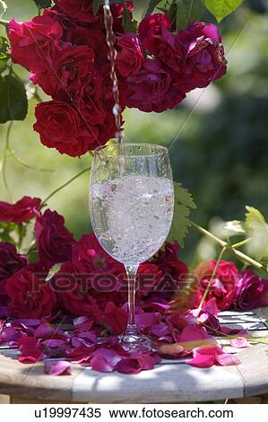 Stock Photography - Still-Life of red roses and wineglass. Fotosearch