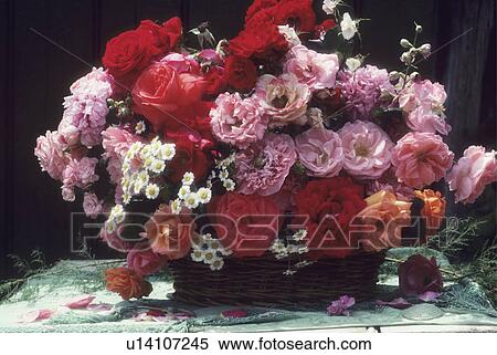 Stock Photography - Still life of red roses. Fotosearch
