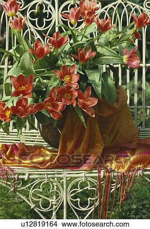 Picture - Still-Life of red tulips in jug on metal chair. Fotosearch