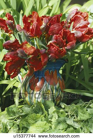 Picture - Still-Life of red tulips in jug. Fotosearch
