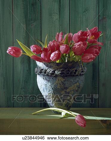 Stock Photograph - Still-Life of red tulips in vase. Fotosearch