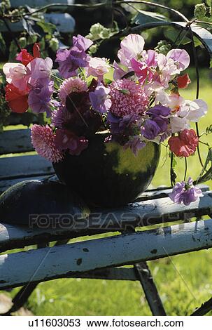 Stock Image - Still-Life of sweetpeas. Fotosearch