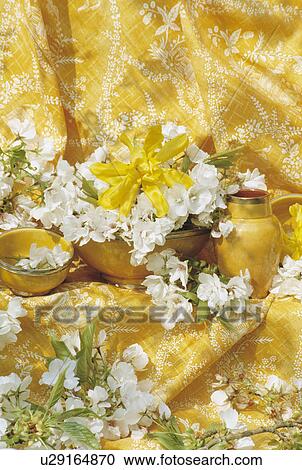 Still-Life of white blossom on yellow fabric View Large Photo Image Stock Image - Still-Life of white blossom on yellow fabric. Fotosearch