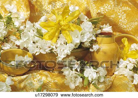 Still-Life of white blossom on yellow fabric View Large Photo Image Stock Photo - Still-Life of white blossom on yellow fabric. Fotosearch