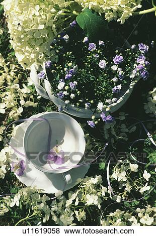 Stock Photo - Still-Life of white cup and blue flowers. Fotosearch