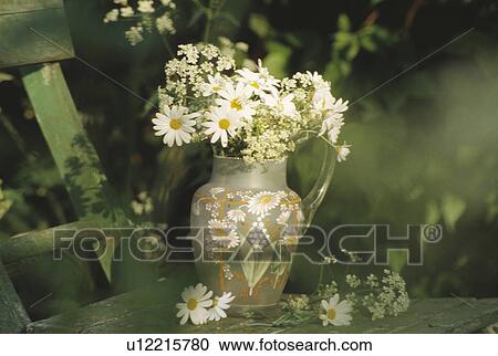 Stock Image - Still-Life of white daisies in jug. Fotosearch