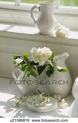Still-Life of white lilac and jugs View Large Photo Image Stock Photograph - Still-Life of white lilac and jugs. Fotosearch
