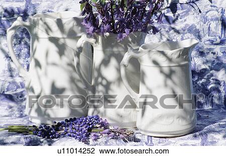 Still-Life of whitte jugs View Large Photo Image Stock Image - Still-Life of whitte jugs. Fotosearch