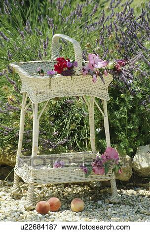 Stock Photo - Still-Life of wicker shelves. Fotosearch
