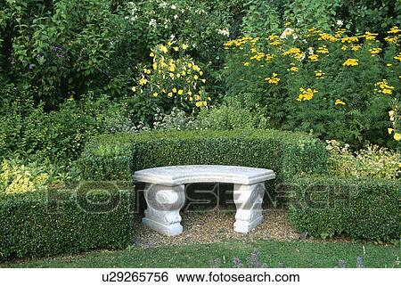 Stone bench and low clipped hedges in large country garden View Large Photo Image Stock Photograph - Stone bench and low clipped hedges in large country garden. Fotosearch