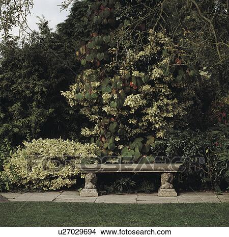 Stone bench in country garden in summer View Large Photo Image Picture - Stone bench in country garden in summer. Fotosearch