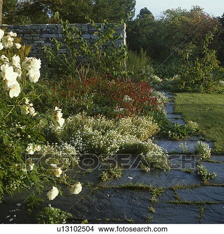 Picture - Stone paving in country garden. Fotosearch