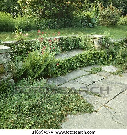 Stone paving in country garden View Large Photo Image Picture - Stone paving in country garden. Fotosearch