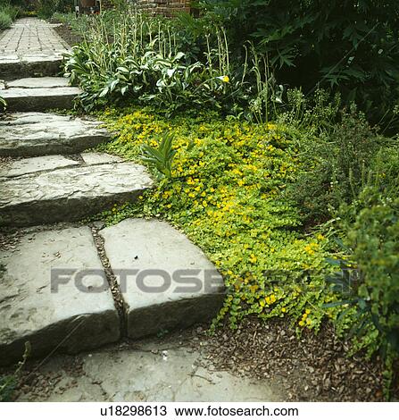 Stock Image - Stone paving in country garden. Fotosearch