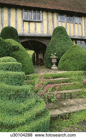 Stock Photo - Stone steps and topiary shrubs in front of Tudor house. Fotosearch